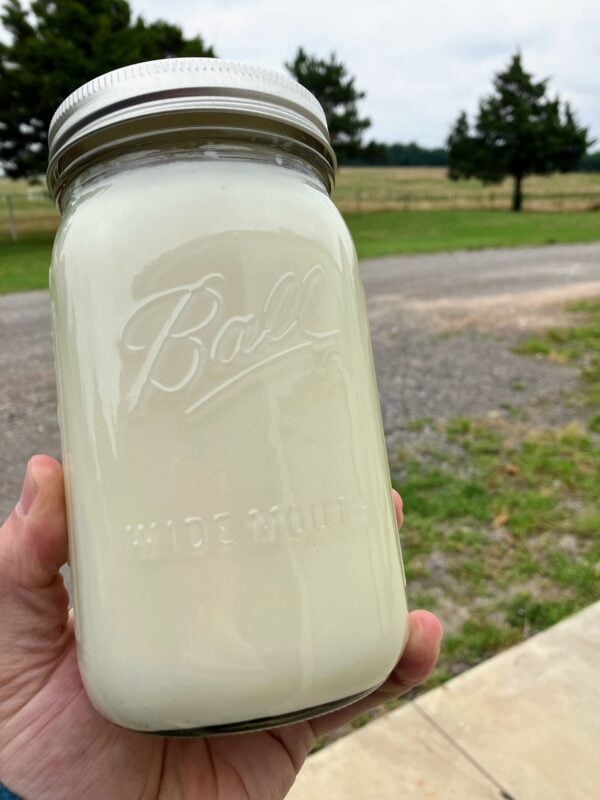 Rendered Tallow (Beef Fat)